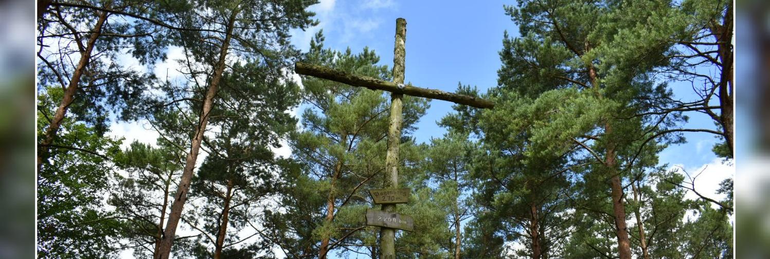 St. Martin Badenhausen und St. Johannis Windhausen